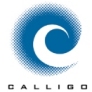 Insystems Calligo